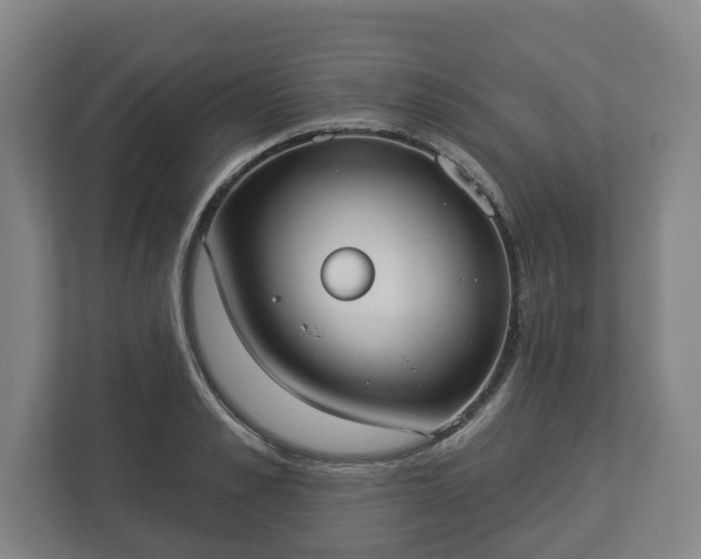 X0000113080989200909041125