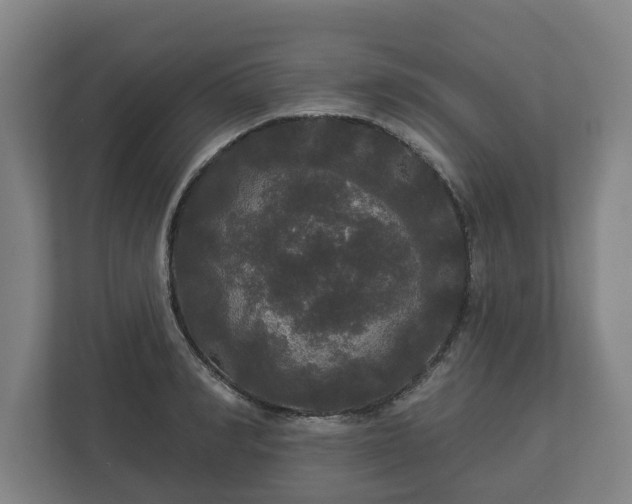 X0000113080990200909041125