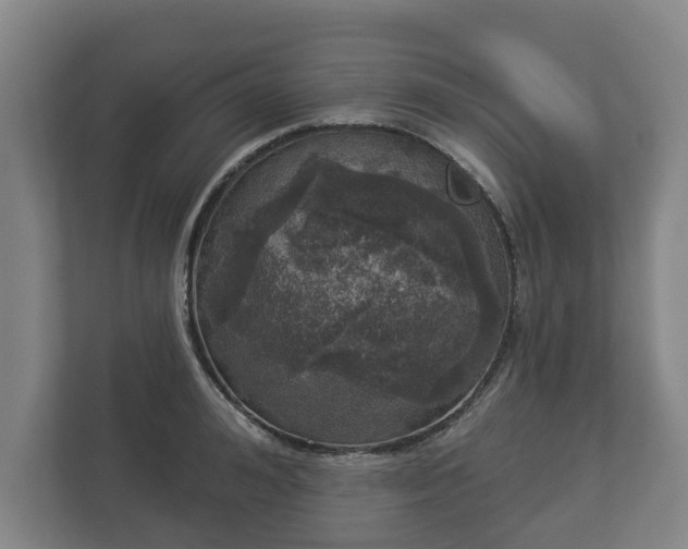 X0000113080992200909041125