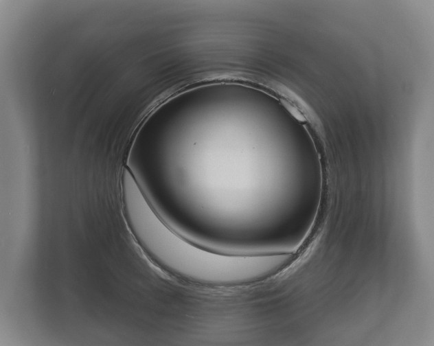 X0000113080993200909041125