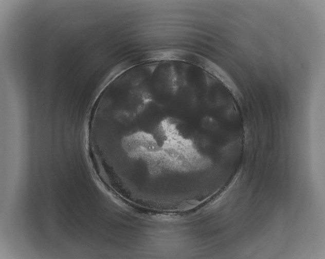 X0000113080994200909041125