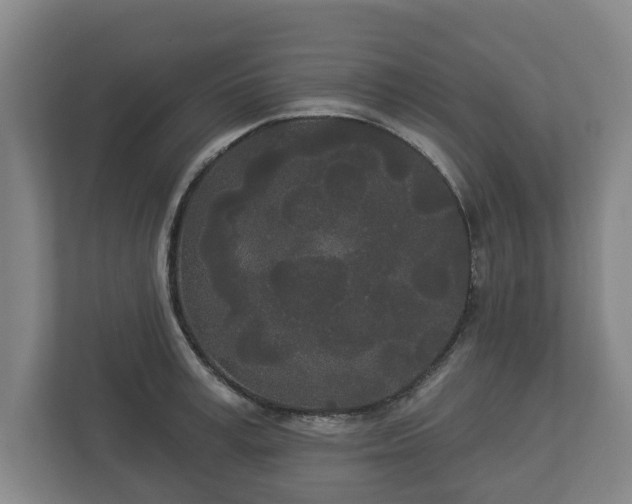 X0000113080995200909041125