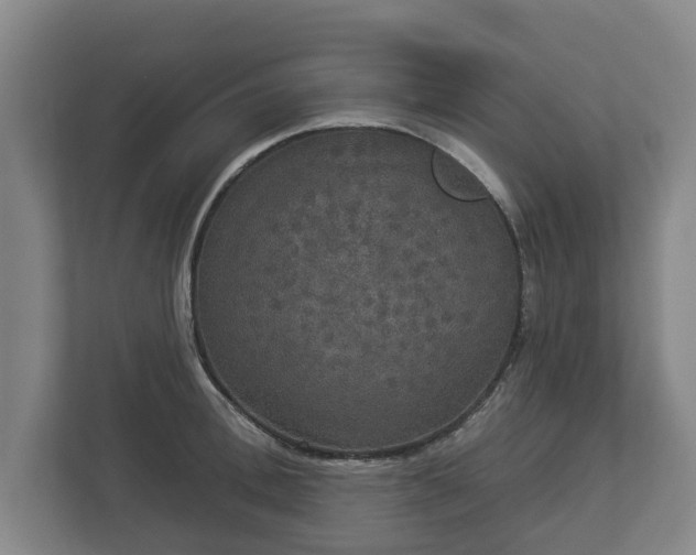 X0000113080996200909041125