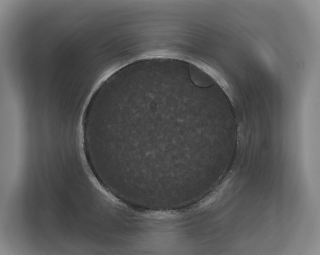 X0000113080998200909041125