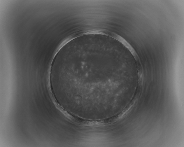 X0000113081002200909041125