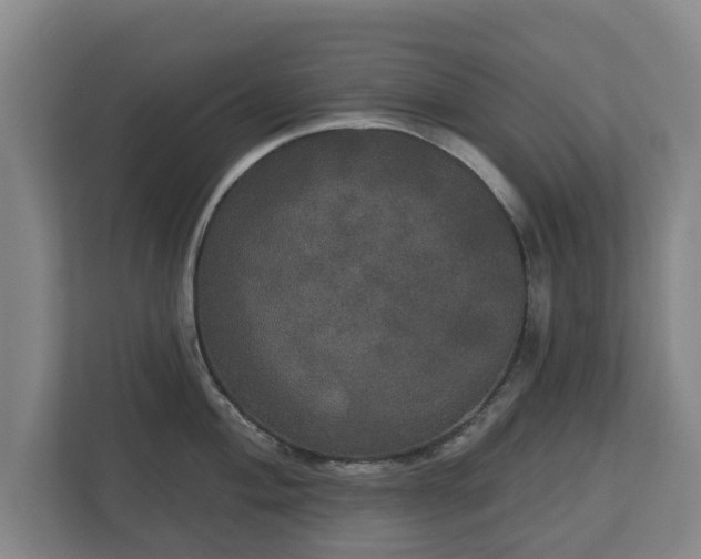 X0000113081004200909041125