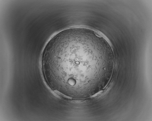 X0000113081005200909041125