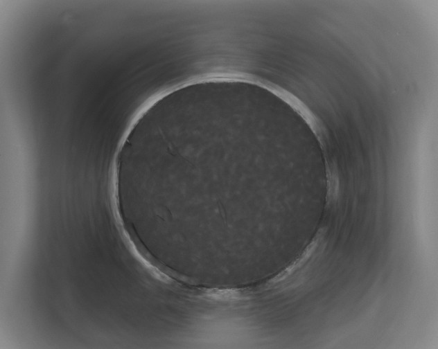 X0000113081006200909041125