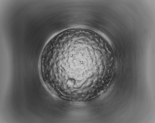 X0000113081007200909041125