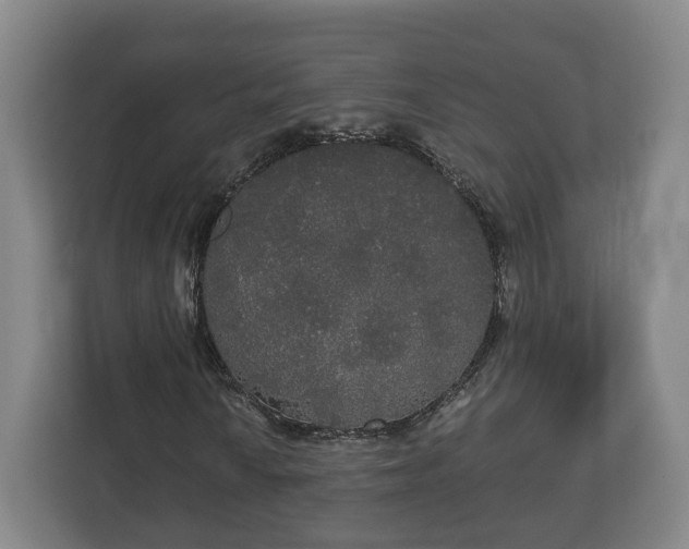 X0000113081010200909041124