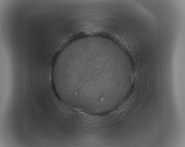 X0000113081012200909041124