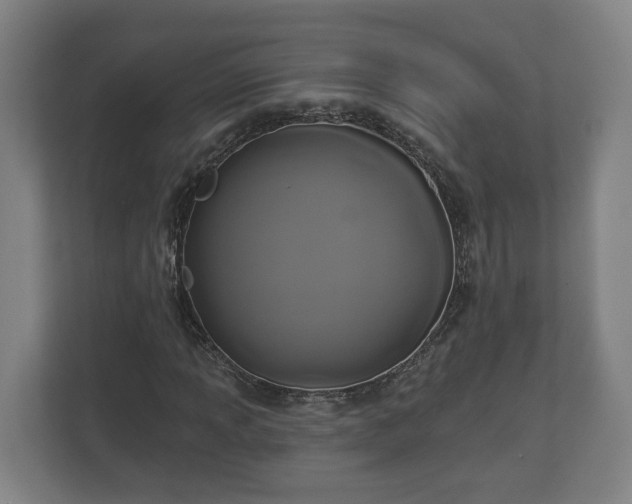 X0000113081013200909041124