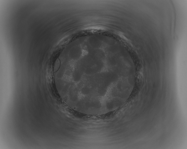 X0000113081014200909041124