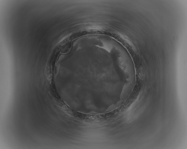 X0000113081015200909041124