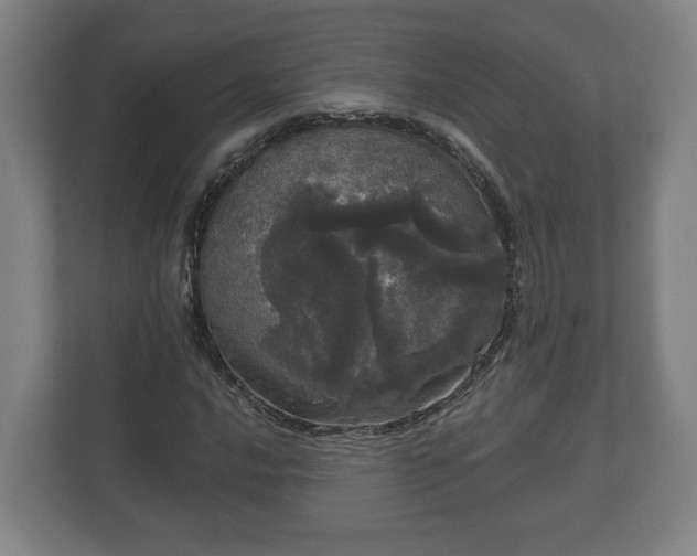 X0000113081016200909041124