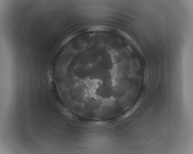 X0000113081017200909041124