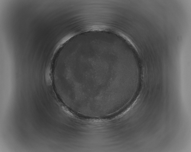 X0000113081018200909041124