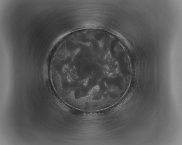 X0000113081019200909041124