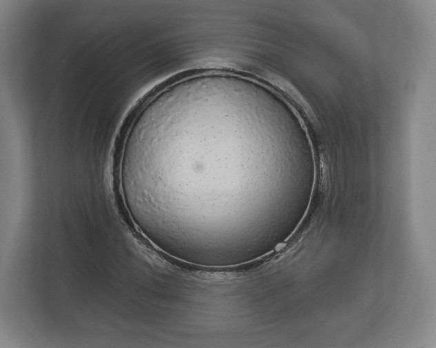 X0000113081020200909041124