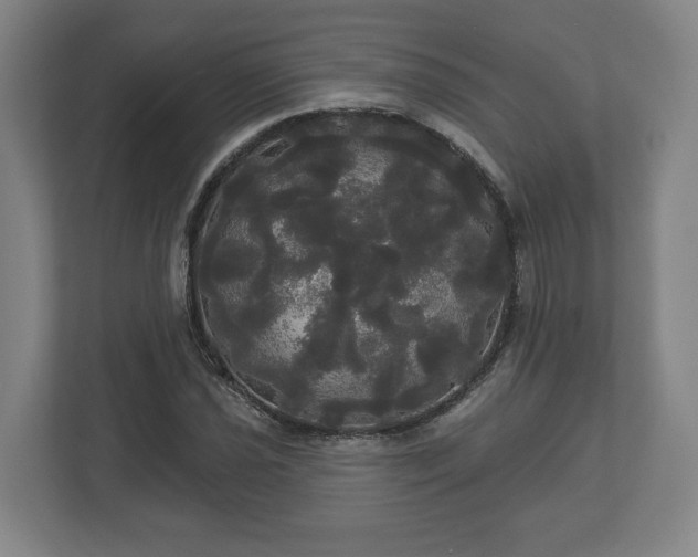 X0000113081021200909041124