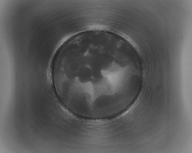 X0000113081022200909041124