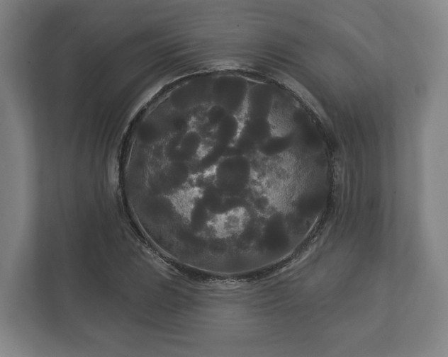 X0000113081023200909041124