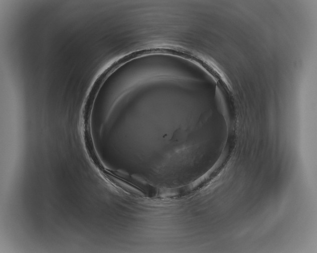 X0000113081024200909041124