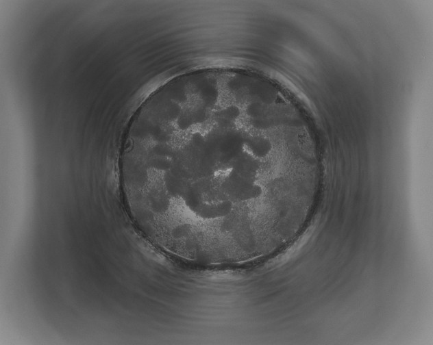 X0000113081025200909041124