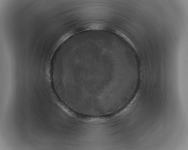 X0000113081026200909041124