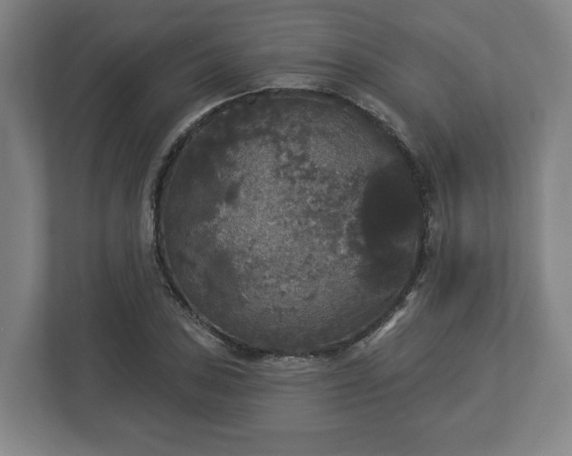 X0000113081027200909041124