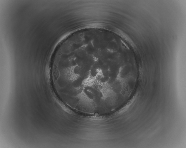 X0000113081029200909041124