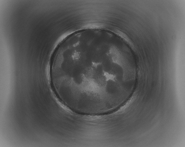 X0000113081030200909041124