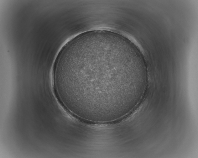 X0000113081032200909041124