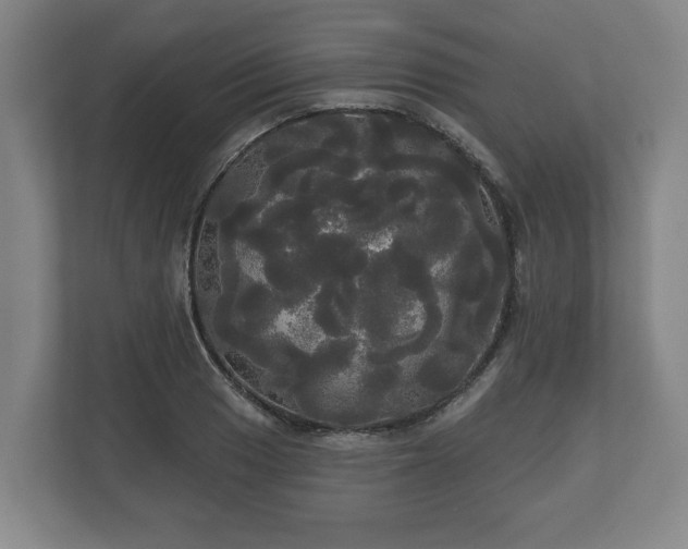 X0000113081033200909041124