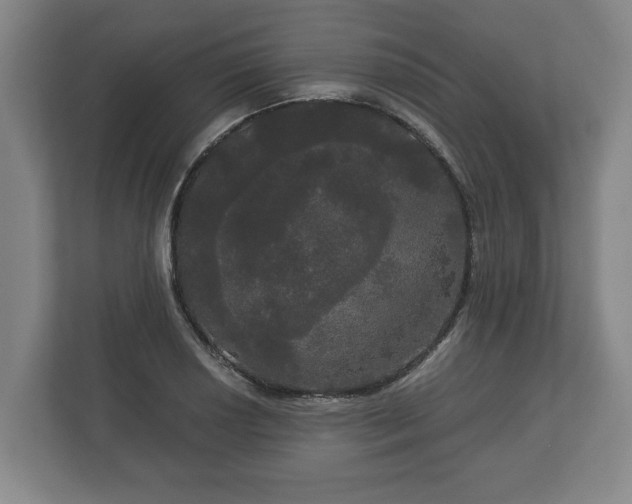 X0000113081034200909041125