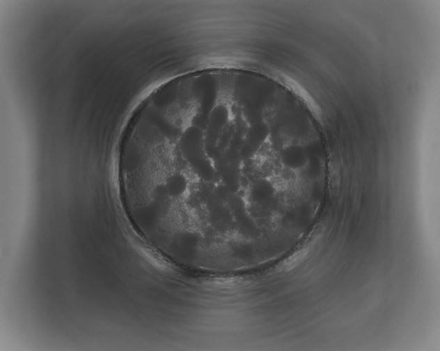 X0000113081035200909041125