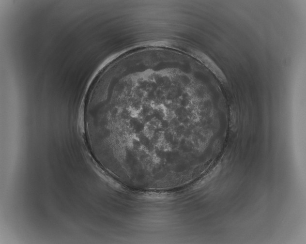 X0000113081036200909041125