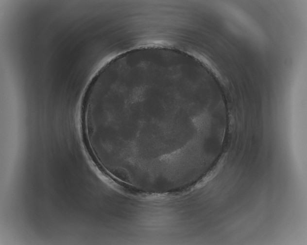 X0000113081038200909041125