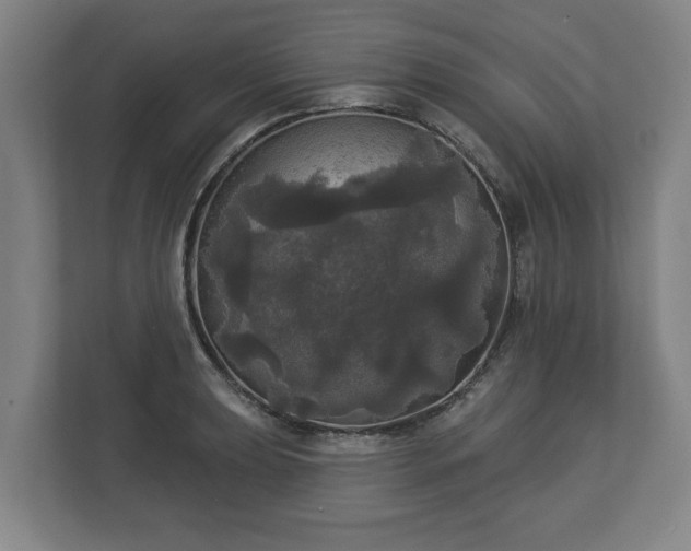 X0000113081039200909041125