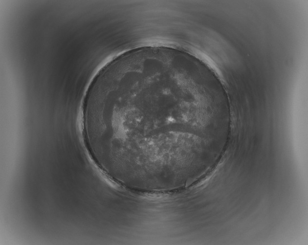 X0000113081040200909041125