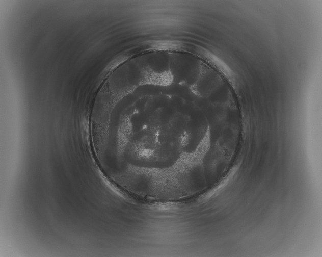 X0000113081041200909041125