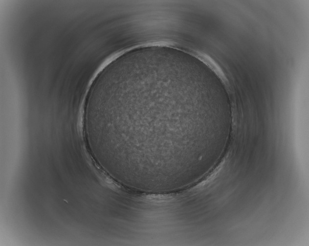 X0000113081044200909041125