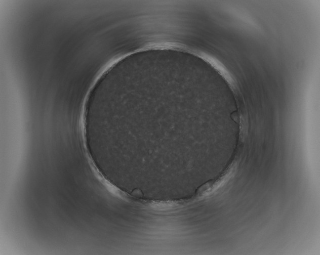 X0000113081046200909041125