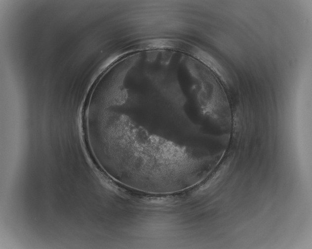 X0000113081047200909041125