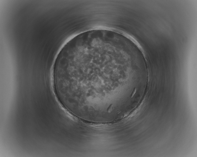 X0000113081048200909041125