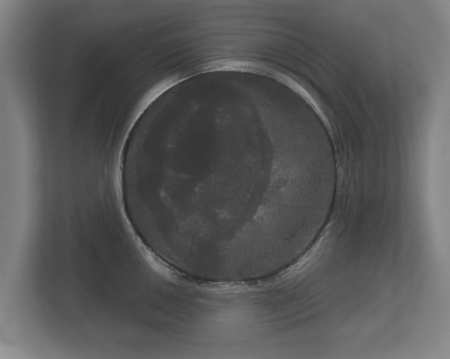 X0000113081050200909041125