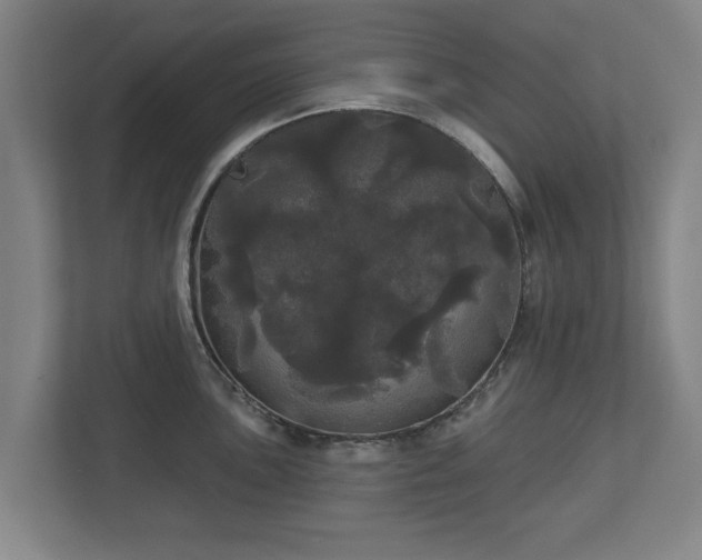 X0000113081051200909041125