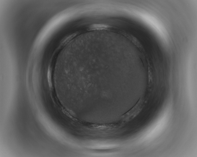 X0000113081054200909041125