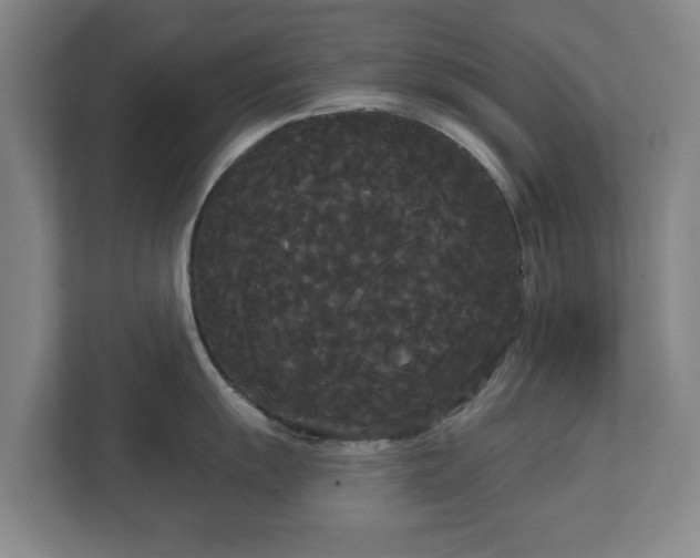 X0000113081055200909041125