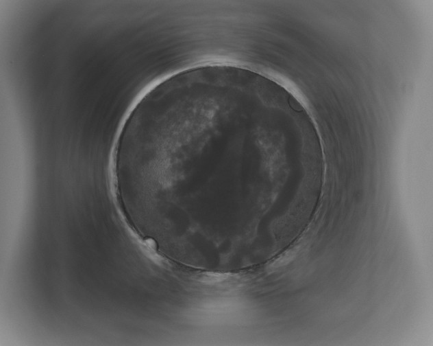 X0000113081056200909041125